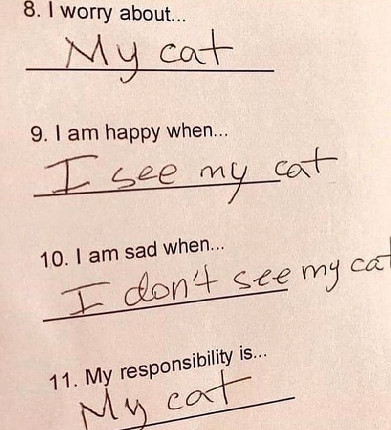 8. I worry about... My cat 9. I am happy when... I see my cat 10. I am sad when... I don't see my ca 11. My responsibility is... My cat