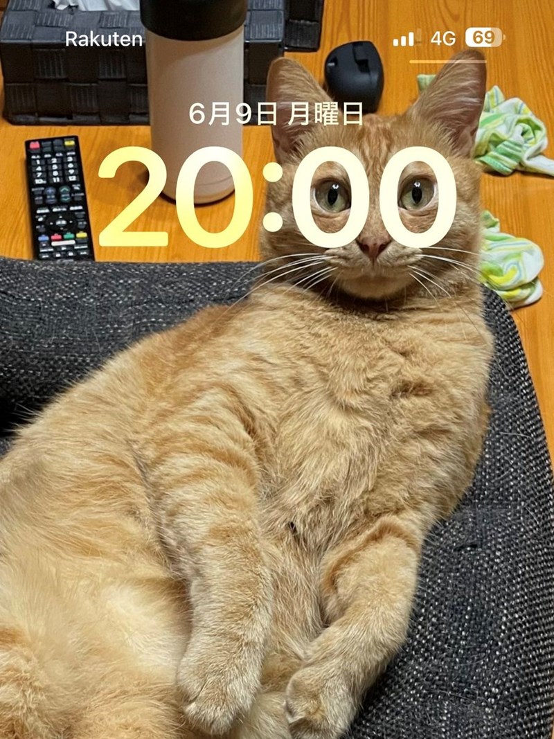 Rakuten 4G 69 6月9日月曜日 20:00