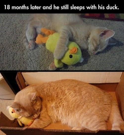 18 months later and he still sleeps with his duck.
