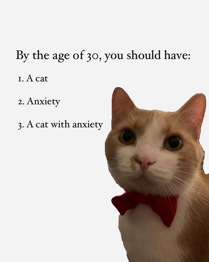 By the age of 30, you should have: I. A cat 2. Anxiety 3. A cat with anxiety