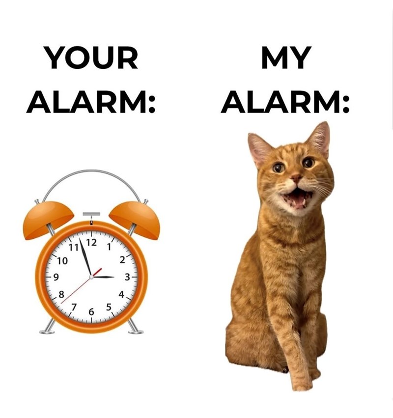 YOUR ALARM: MY ALARM: 9 10 8 11 12 16 1 5 2' 4. 3