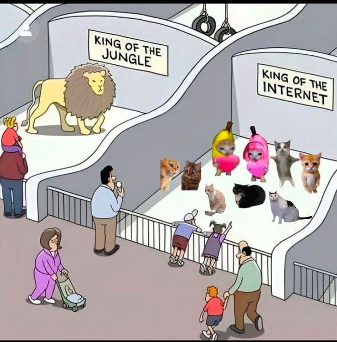 KING OF THE JUNGLE KING OF THE INTERNET