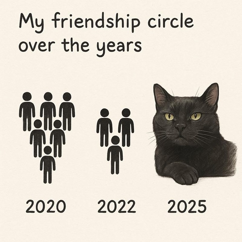 My friendship circle over the years iii ii 2020 2022 2025