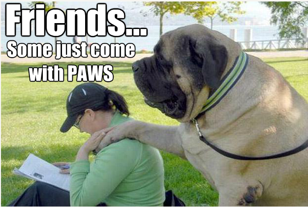 Friends... Some just come with PAWS