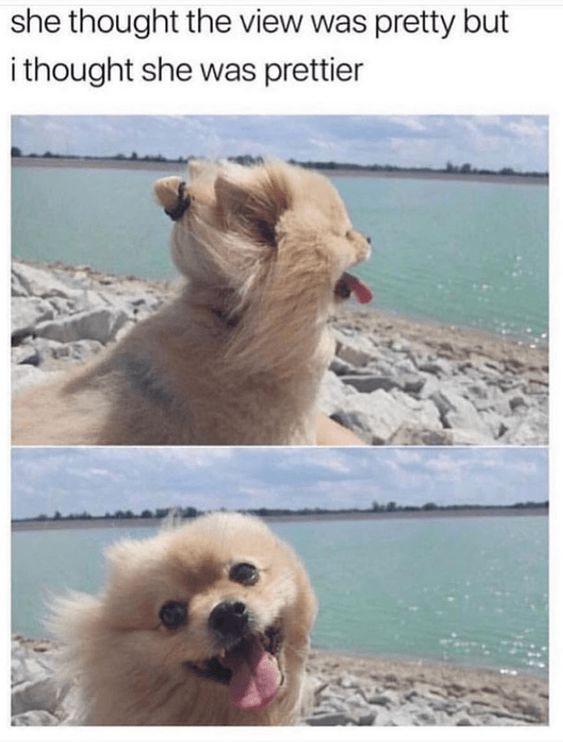 she thought the view was pretty but i thought she was prettier