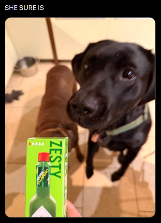 SHE SURE IS AAAAA LDER ALAPENO ZESTY