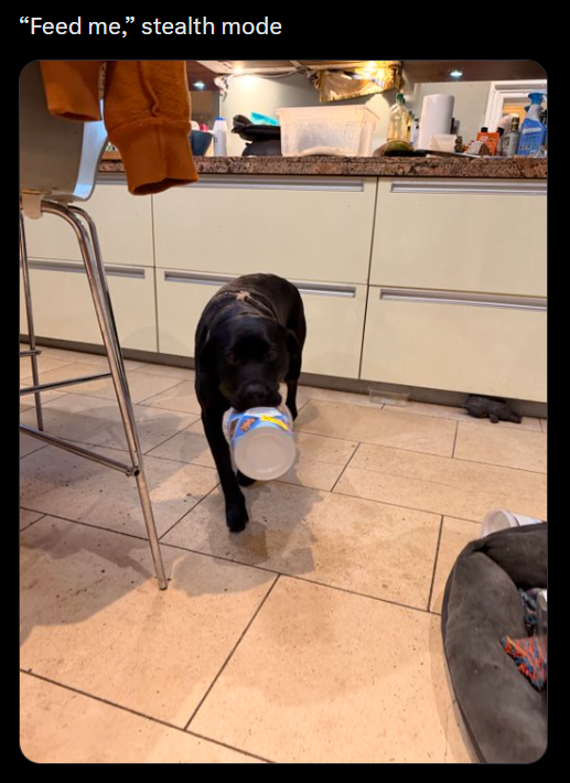 "Feed me,” stealth mode