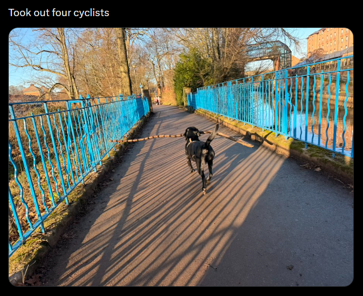 Took out four cyclists