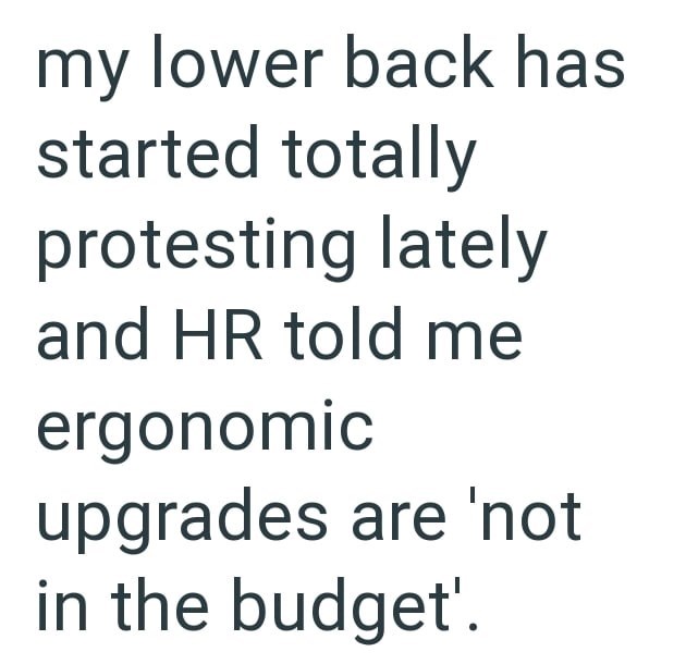 my lower back has started totally protesting lately and HR told me ergonomic upgrades are 'not in the budget'.