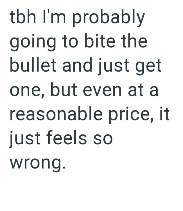 tbh I'm probably going to bite the bullet and just get one, but even at a reasonable price, it just feels so wrong.