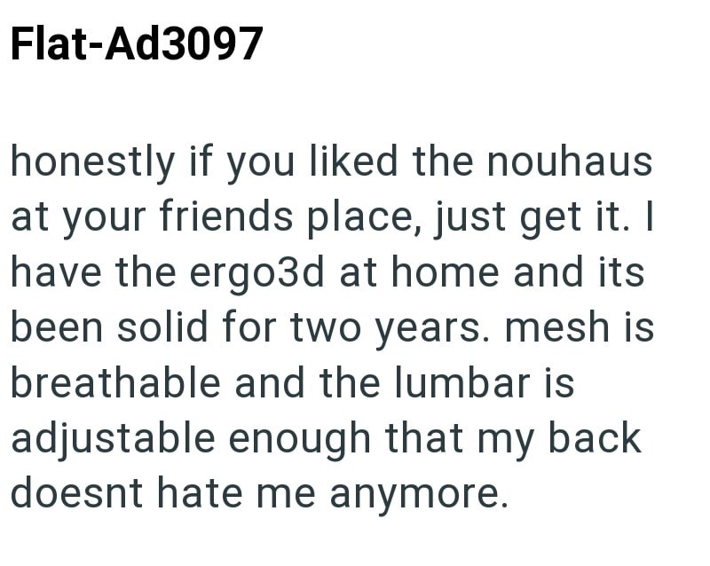 Flat-Ad3097 honestly if you liked the nouhaus at your friends place, just get it. I have the ergo3d at home and its been solid for two years. mesh is breathable and the lumbar is adjustable enough that my back doesnt hate me anymore.