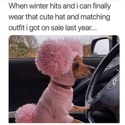 When winter hits and i can finally wear that cute hat and matching outfit i got on sale last year...