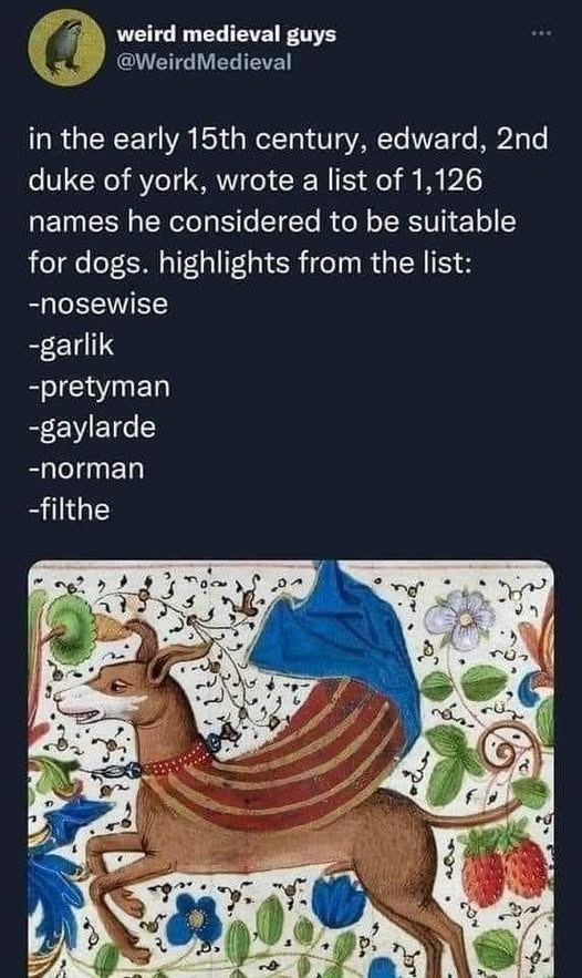 weird medieval guys @Weird Medieval in the early 15th century, edward, 2nd duke of york, wrote a list of 1,126 names he considered to be suitable for dogs. highlights from the list: -nosewise -garlik -pretyman -gaylarde -norman -filthe 202