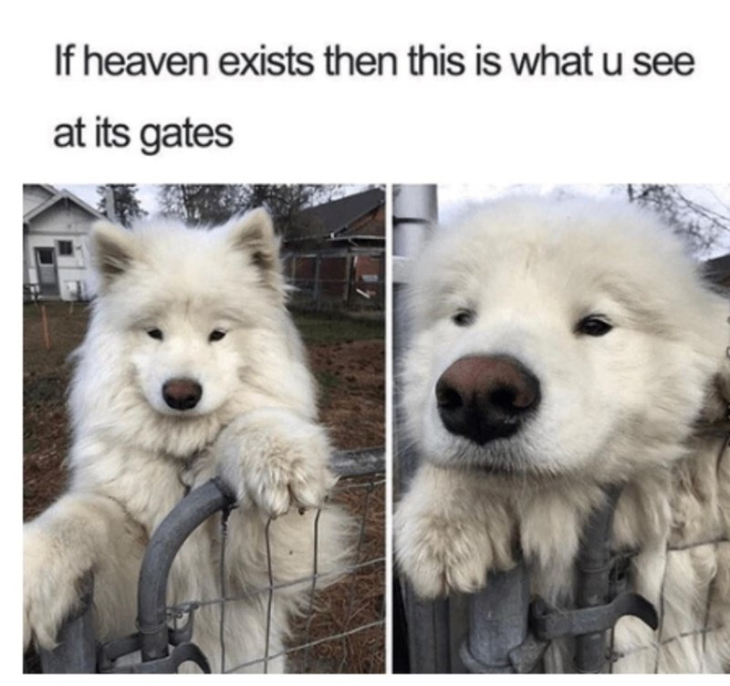 If heaven exists then this is what u see at its gates