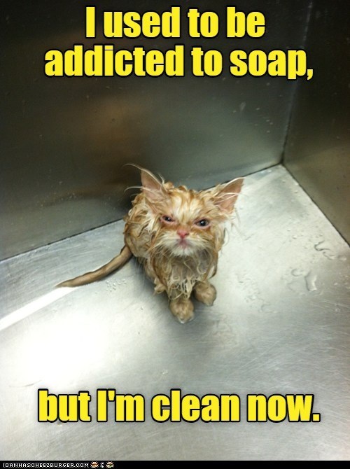 Cheezburger Image 10610883584