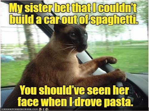 Cheezburger Image 10610884096