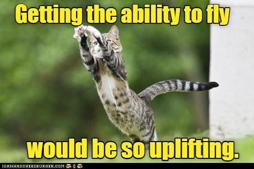 Cheezburger Image 10610884352