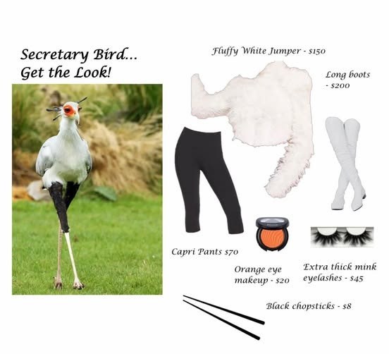 Secretary Bird... Get the Look! Fluffy White Jumper - $150 Long boots -$200 Capri Pants $70 Orange eye makeup-s20 Extra thick mink eyelashes- $45 Black chopsticks - $8