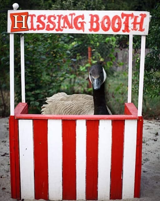 HISSING BOOTH