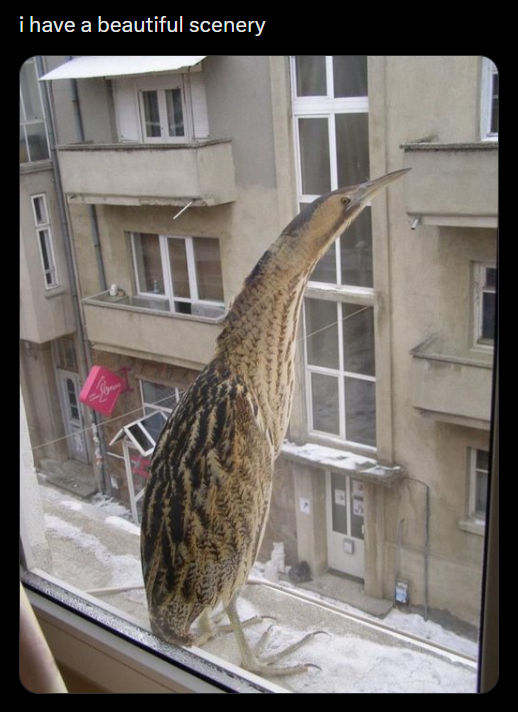 i have a beautiful scenery 156