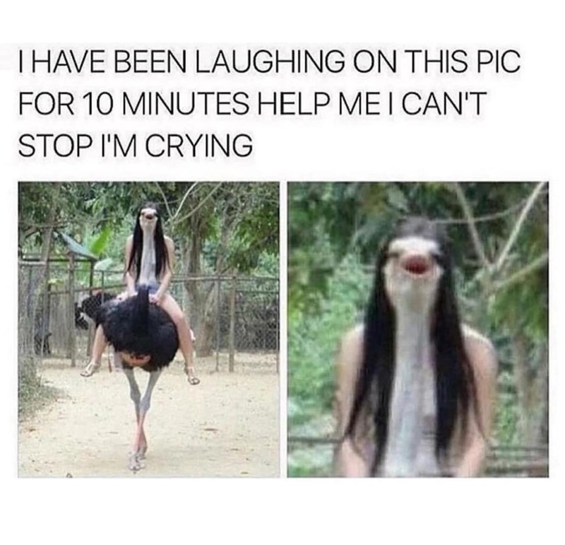 I HAVE BEEN LAUGHING ON THIS PIC FOR 10 MINUTES HELP ME I CAN'T STOP I'M CRYING