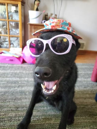 Cheezburger Image 10610897664