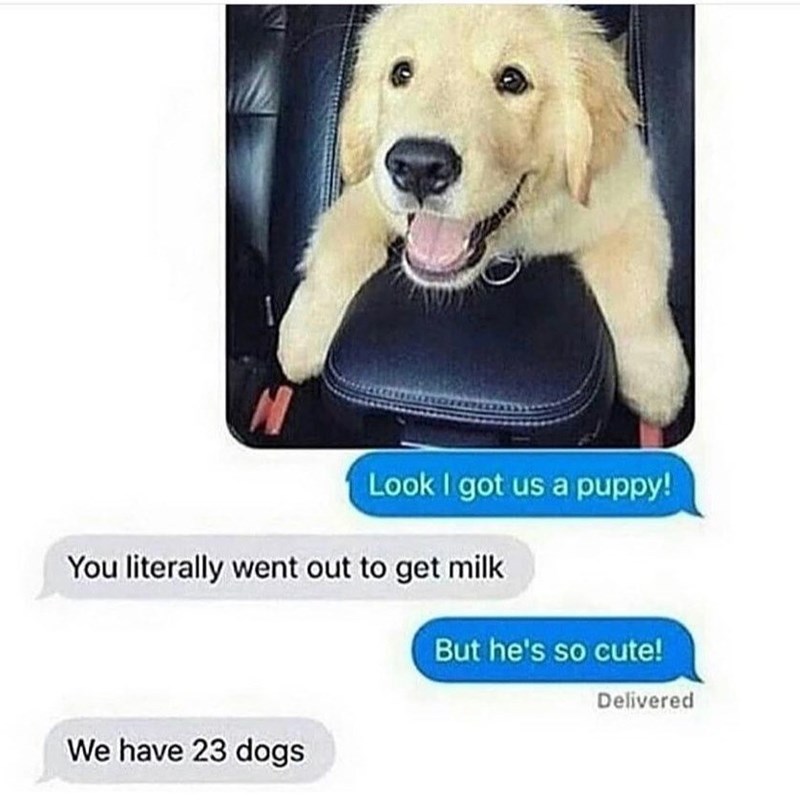 Look I got us a puppy! You literally went out to get milk But he's so cute! We have 23 dogs Delivered