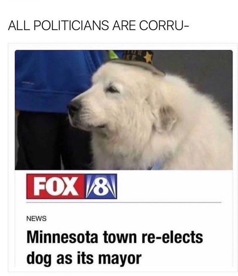 ALL POLITICIANS ARE CORRU- FOX 8 NEWS Minnesota town re-elects dog as its mayor