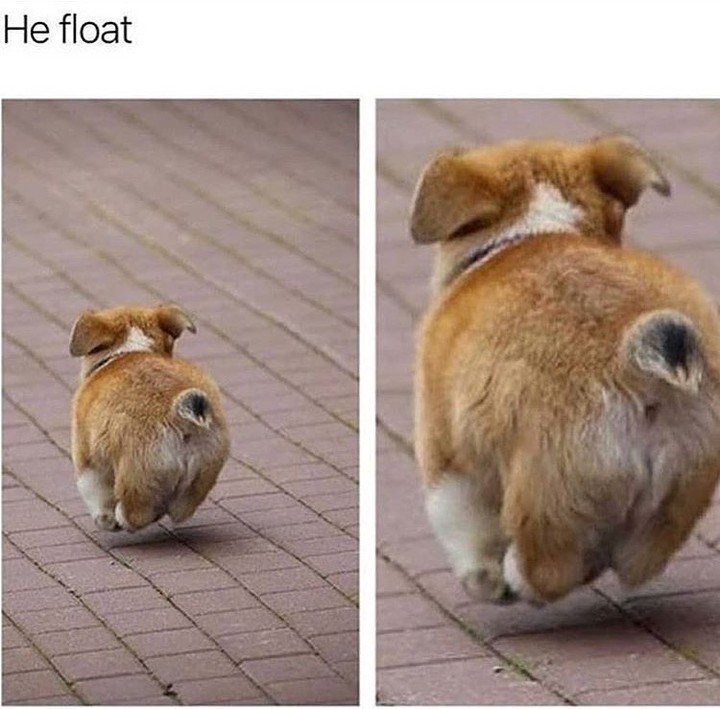 He float