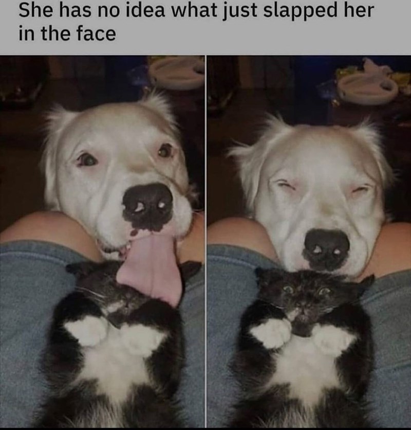 She has no idea what just slapped her in the face