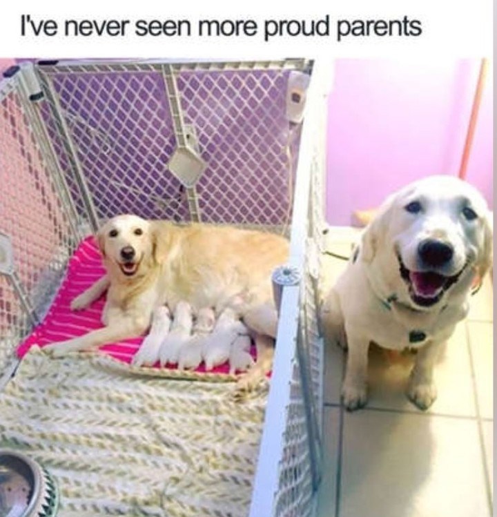 I've never seen more proud parents