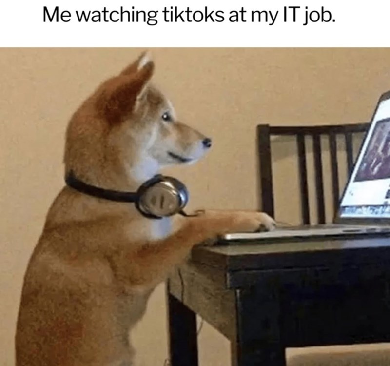 Me watching tiktoks at my IT job.