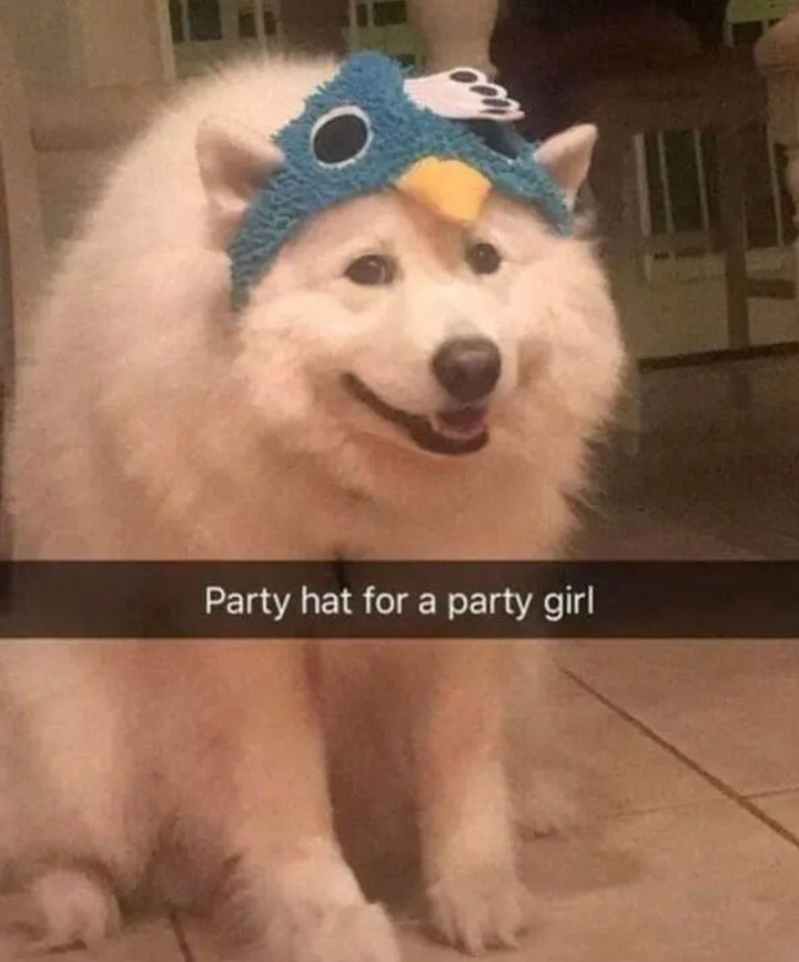 Party hat for a party girl