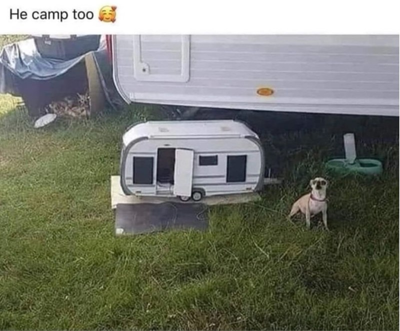 He camp too