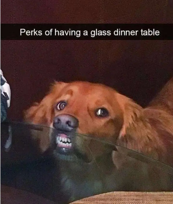 Perks of having a glass dinner table