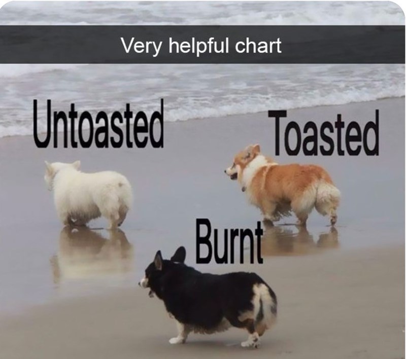 Very helpful chart Untoasted Burnt Toasted