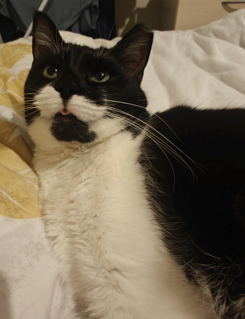 Cheezburger Image 10610916096