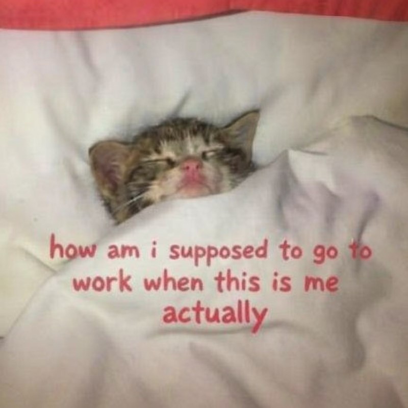 how am i supposed to go to work when this is me actually