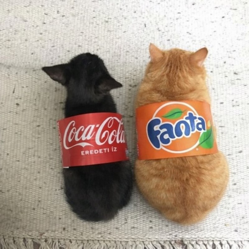 Coca-Cola Canta EREDETI IZ