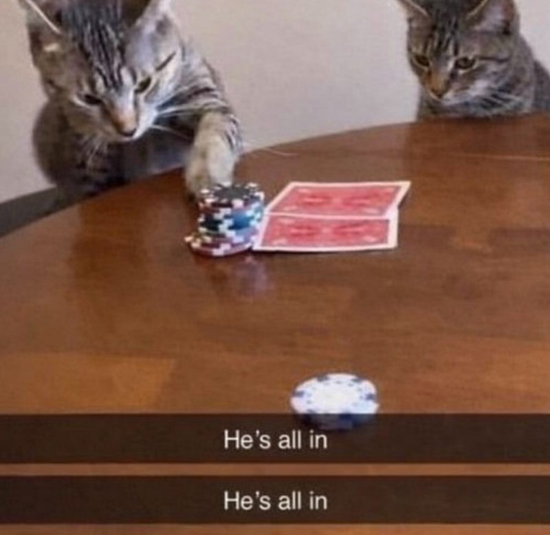 He's all in He's all in