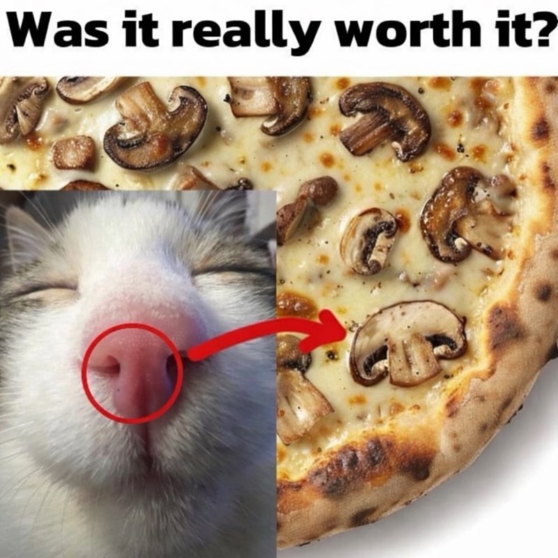 Was it really worth it?