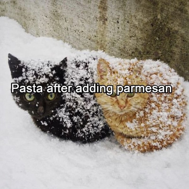 Pasta after adding parmesan