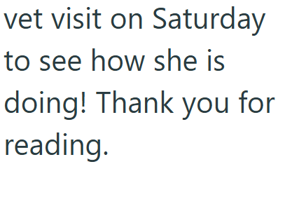 vet visit on Saturday to see how she is doing! Thank you for reading.