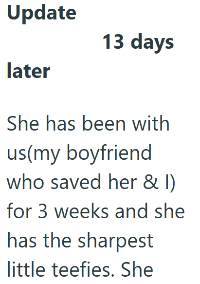 Update later 13 days She has been with us(my boyfriend who saved her & I) for 3 weeks and she has the sharpest little teefies. She