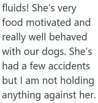 fluids! She's very food motivated and really well behaved with our dogs. She's had a few accidents but I am not holding anything against her.