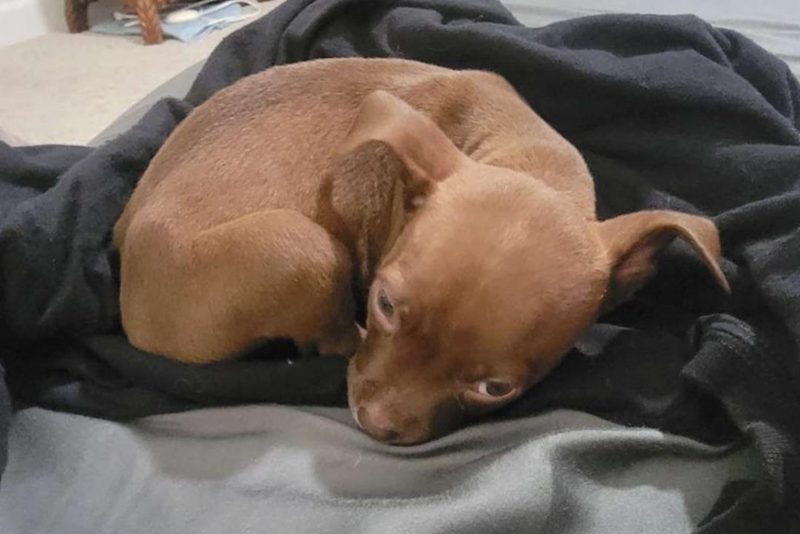 Cheezburger Image 10610926080