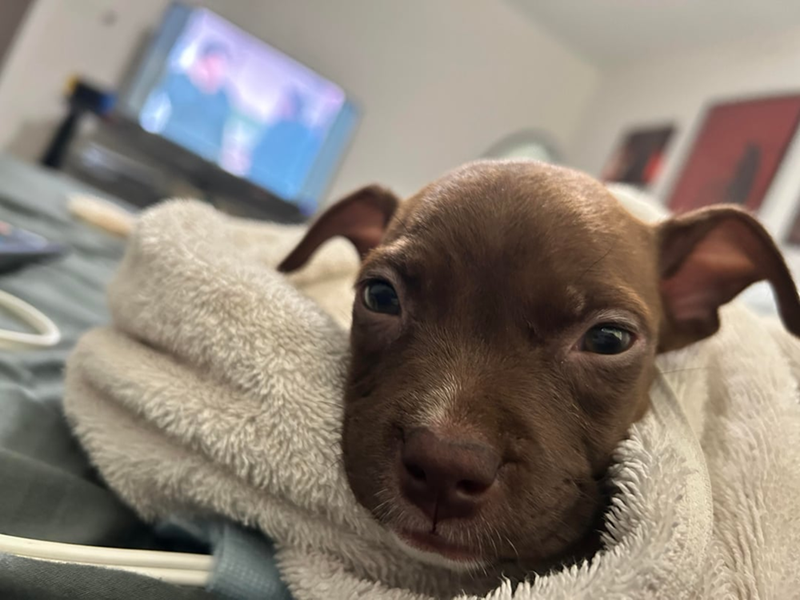 Cheezburger Image 10610926336