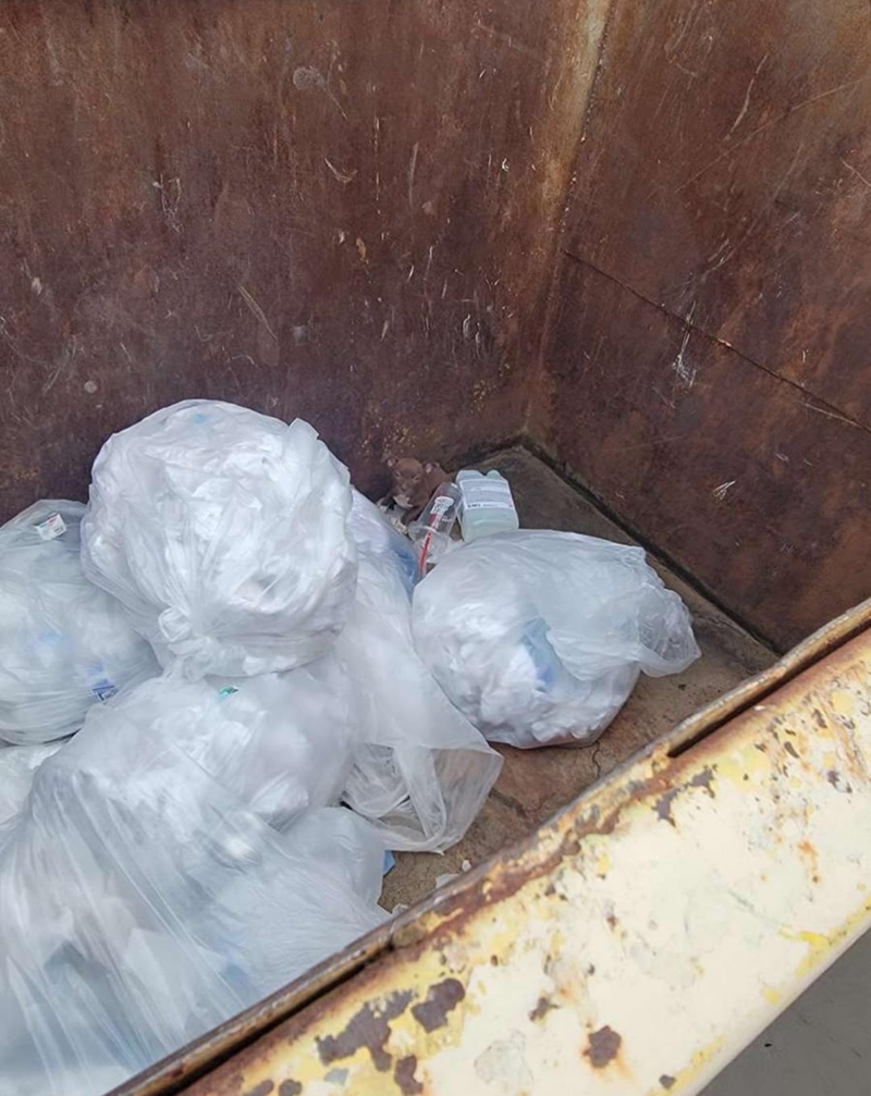 Cheezburger Image 10610926592