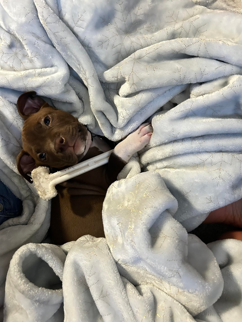 Cheezburger Image 10610927616