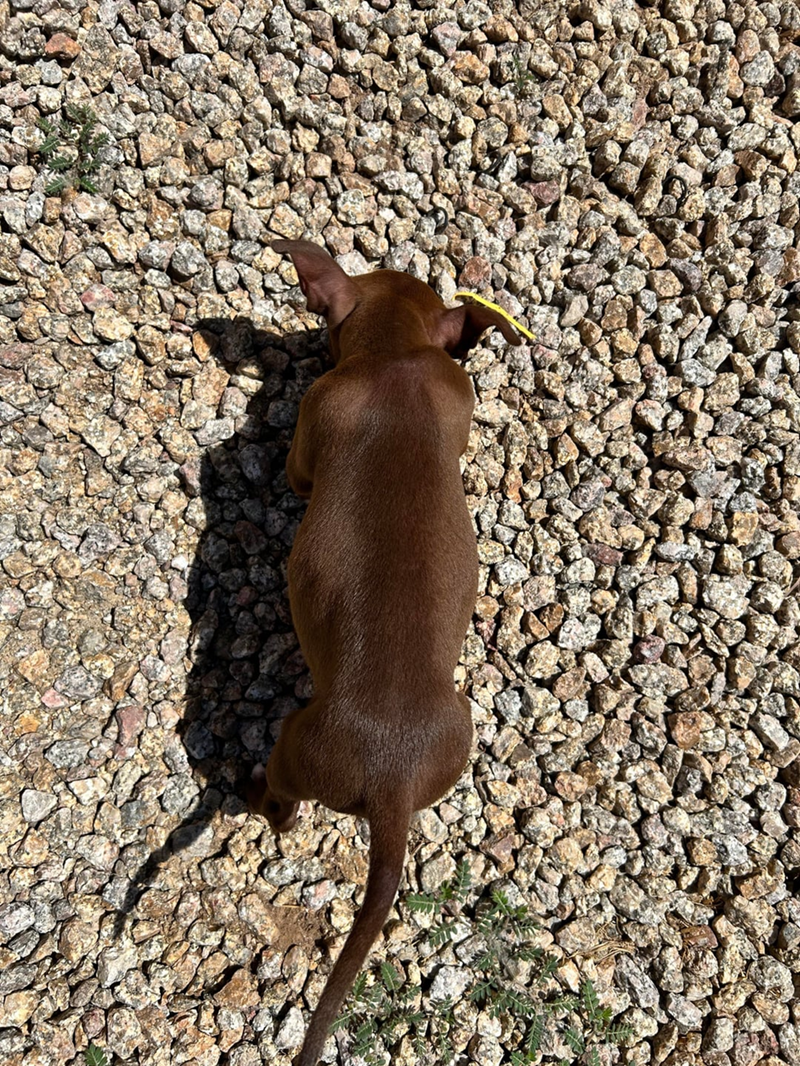 Cheezburger Image 10610928128